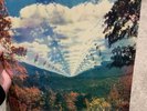 Tame Impala Innerspeaker *Sealed*
