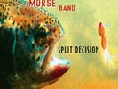 Steve Morse Band - Split Decision - Green [New Vinyl LP] Colored Vinyl, Green