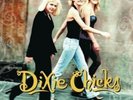 Dixie Chicks Original Wide Open Spaces Record Album 150 Gram Vinyl LP