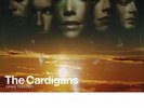 The Cardigans - Gran Turismo [Remaster] (Vinyl LP) Gatefold NEW