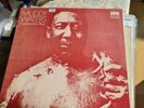 MUDDY WATERS 