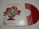 Cassa Nova, Sunset Rollercoaster, Record LP Red Vinyl, Signed. VG++