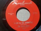 The Lemon Drops vinyl 45 record  I LIVE IN THE SPRINGTIME/LISTEN GIRL PSYCH  M-