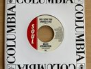 Bruce Springsteen Do I Love You (Indeed I Do) Promo 7