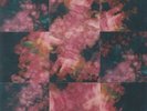 SAY SHE SHE - Prism - Vinyl (LP)