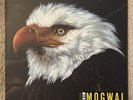 Mogwai The Hawk Is Howling. 2lp Album. Nearly New Condition. Wall Of Sound Label