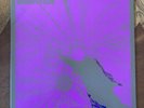 Darker My Love [LP] by Darker My Love-Self Titled Vinyl-Dangerbird -Record-2 LP