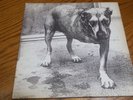 Alice In Chains self titled gate fold vinyl 2 LP, 3 Legged Dog. 074646724811 VG+