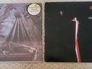 STEELY DAN 