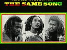 Israel Vibration The Same Song  (Vinyl)  12