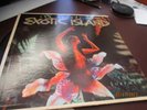 THE SURFMEN   THE SOUNDS OF EXOTIC ISLAND   LP 1960   G/VG   CHEESECAKE rs