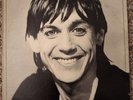 Iggy Pop - Lust For Life Vinyl LP