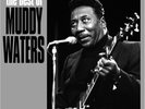 Muddy Waters BEST OF 1948-56 14 Essential Songs NEW SEALED BLACK VINYL RECORD LP