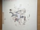 Frightened Rabbit - The Midnight Organ Fight Vinyl LP (NM+, never played)