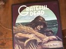 Grateful Dead 1973 LP on GD- 01 Wake Of The Flood VG++ Album