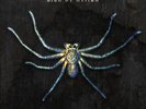 Clan of Xymox Spider On the Wall (Vinyl) 12