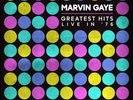 Marvin Gaye Greatest Hits Live In '76 (Vinyl) (US IMPORT)