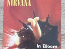 Nirvana In Bloom 7