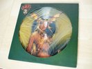 Cher Take Me Home Picture Disc US LP Casablanca NBPIX7133 1979 EX/EX