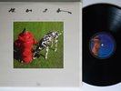 RUSH Signals MERCURY LP BEAUTIFUL NM 1st pressing