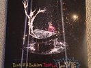 Panic  At The Disco - All My Friends We're Glorious: Death Of A Bachelor Tour LP