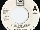 NORTHERN SOUL-IF I COULD ONLY BE SURE/THAT'S NOT LOVE-NOLAN PORTER/HOLLY ST. JAM
