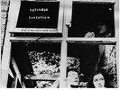 Various - Splendid Isolation [VINYL]