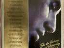 Bleachers Take The Sadness Out Of Saturday Night Gold Vinyl Tour Exclusive