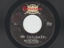 GARAGE PSYCH 45- WE THE PEOPLE- IN THE PAST -HEAR -1966 FORIDA BAND on CHALLENGE