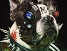 Machine Girl - U​-​Void Synthesizer / Vinyl LP