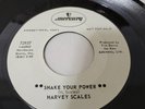 Soul 45 Harvey Scales Shake Your Power/Sun Wont Come Out  Promo a6