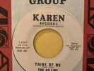 Northern Soul Promo 45 - Ad Libs - Think Of Me /Every Boy & Girl - Karen - EX NM