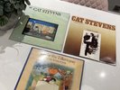 Cat Stevens LP Vinyl Bundle Teaser & the Firecat, Tea For Tillerman, Cats Cradle