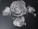 Blue October Sway Autographed Vinyl