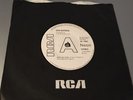 RARE PROG.ROCK DEMO:RAW MATERIAL: