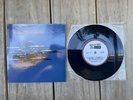 Roland S Howard - Autoluminescent 7” Vinyl Record Immortal Souls, Crime & City S