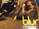SUPER RARE BLUR PARKLIFE YELLOW VINYL LP