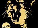 Ratatat - Classics - LP