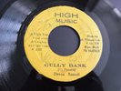 Devon Russell - Gully Bank 1982 JAMAICA 45 HIGH MUSIC DUB/ROOTS