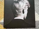 Troye Sivan - Bloom (LP Vinyl)