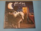 INFINITY ON HIGH - FALL OUT BOY 2xLP VINYL - GLITTER BLUE 15 YEAR ANNIVERSARY