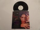 PRINCE PURPLE MEDLEY 12