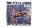 THE STONE ROSES What The World Is Waiting For Vinyl Record Silvertone 1989 Rock