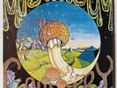 PETER STARK - Mushroom Country Private 70's Hippie Folk Psych Raga Shrink NM
