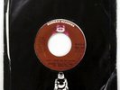 RONNIE SPECTOR 45 I Wish I Never Saw the Sunshine PROMO Buddah 1974 pop Mc 1391