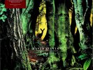 David Sylvian – Manafon 2-LP (NEW 180g Vinyl 2022) Reissue 2009 Album Ambient