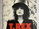 Slider by T. Rex (UK Vinyl First Press) With Red Inner Sleeve Lyrics 1972