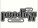 **BRAND NEW** The Prodigy - Experience (Vinyl 2LP)