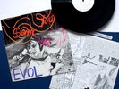 ORIGINAL 1986 SONIC YOUTH EVOL VINYL LP EX RARE