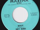 DIRTY WURDS Why HOLY GRAIL orig US garage 45 pulverizing mayhem mod psych HEAR